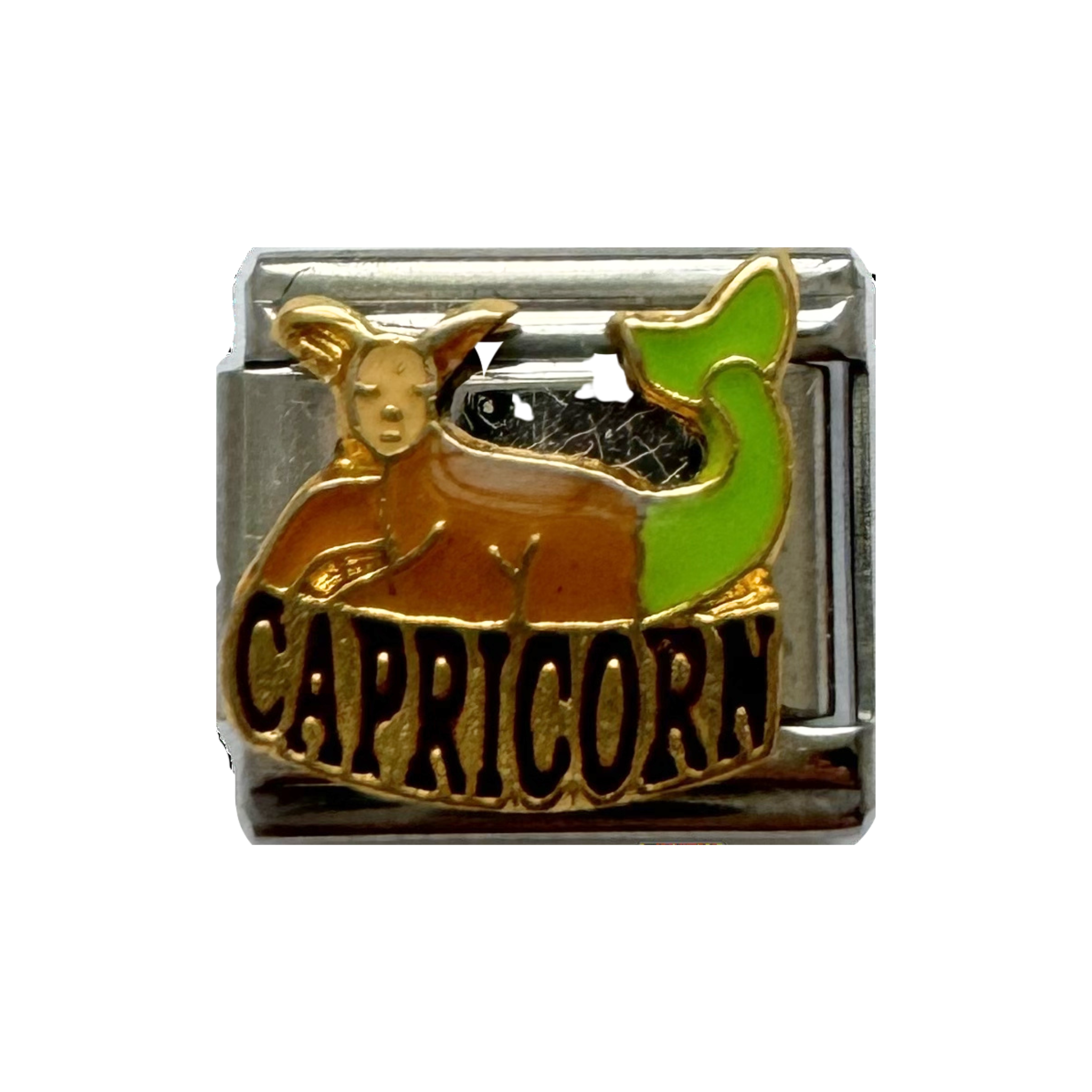 Capricorn