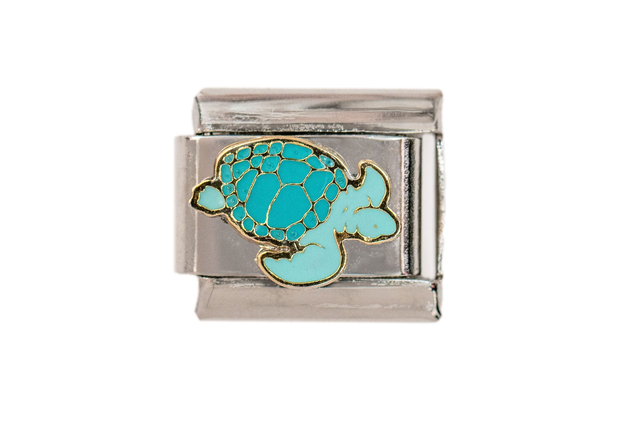 Sea Turtle