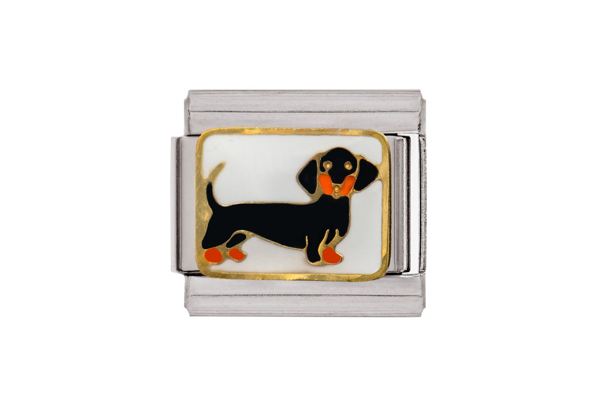 Dachshund