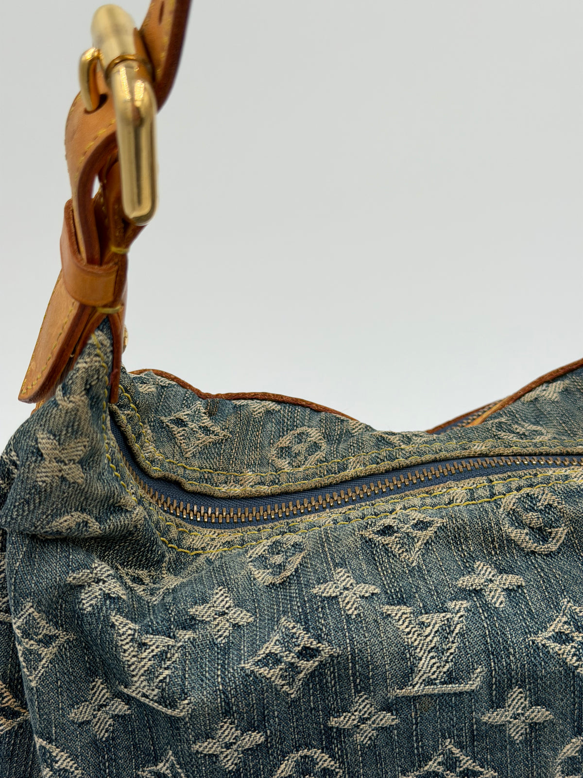 Louis Vuitton Monogram Denim Baggy PM