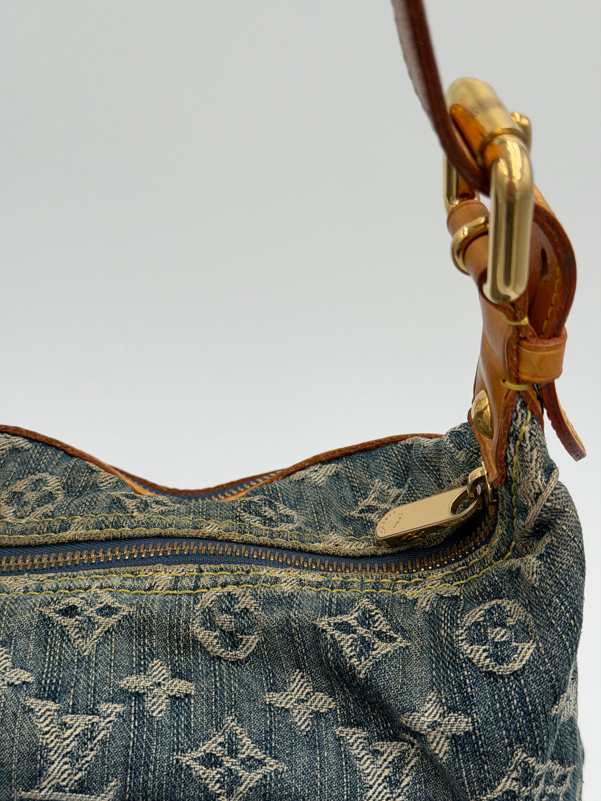 Louis Vuitton Monogram Denim Baggy PM