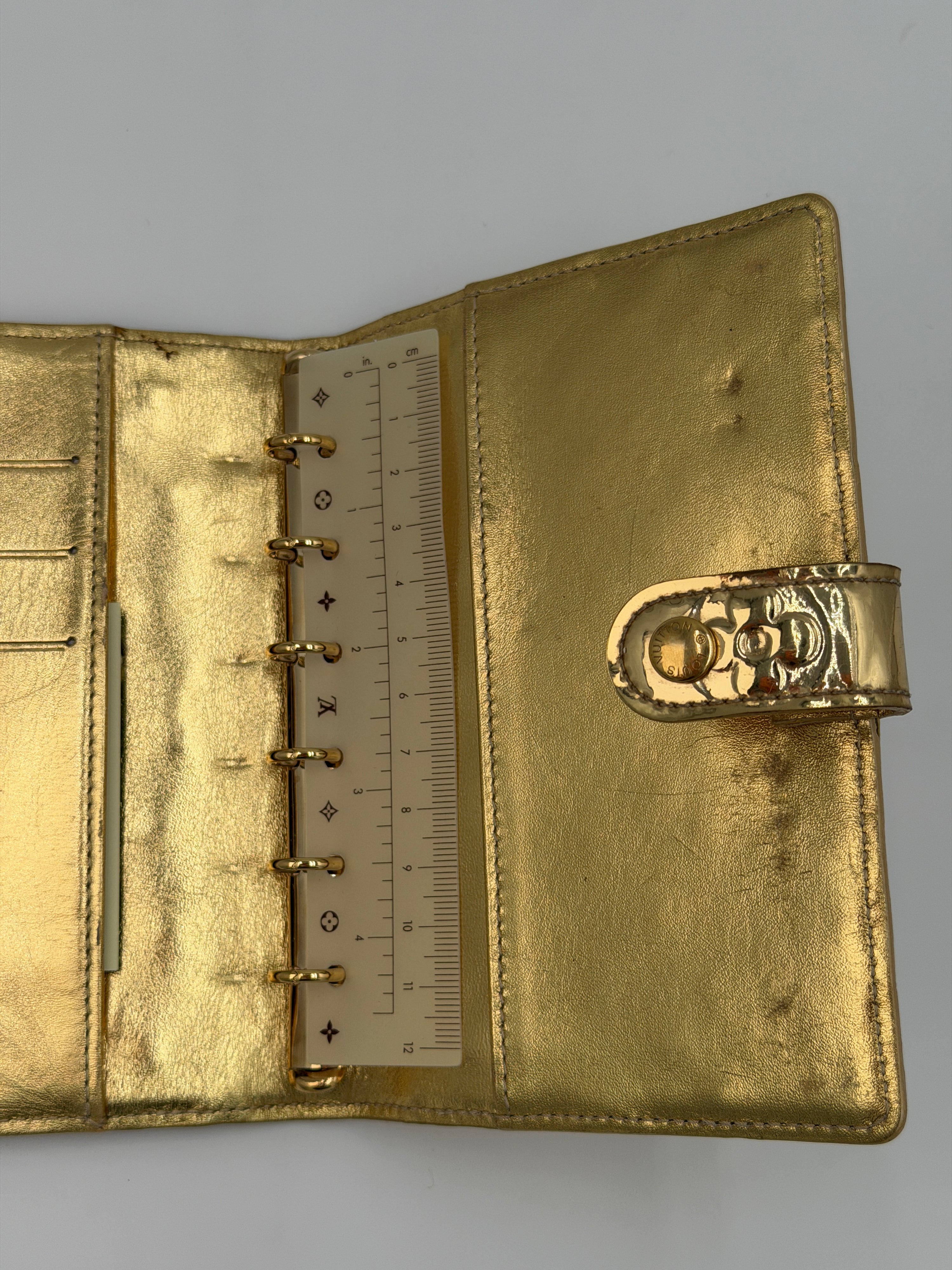 Louis Vuitton Monogram Miroir Case