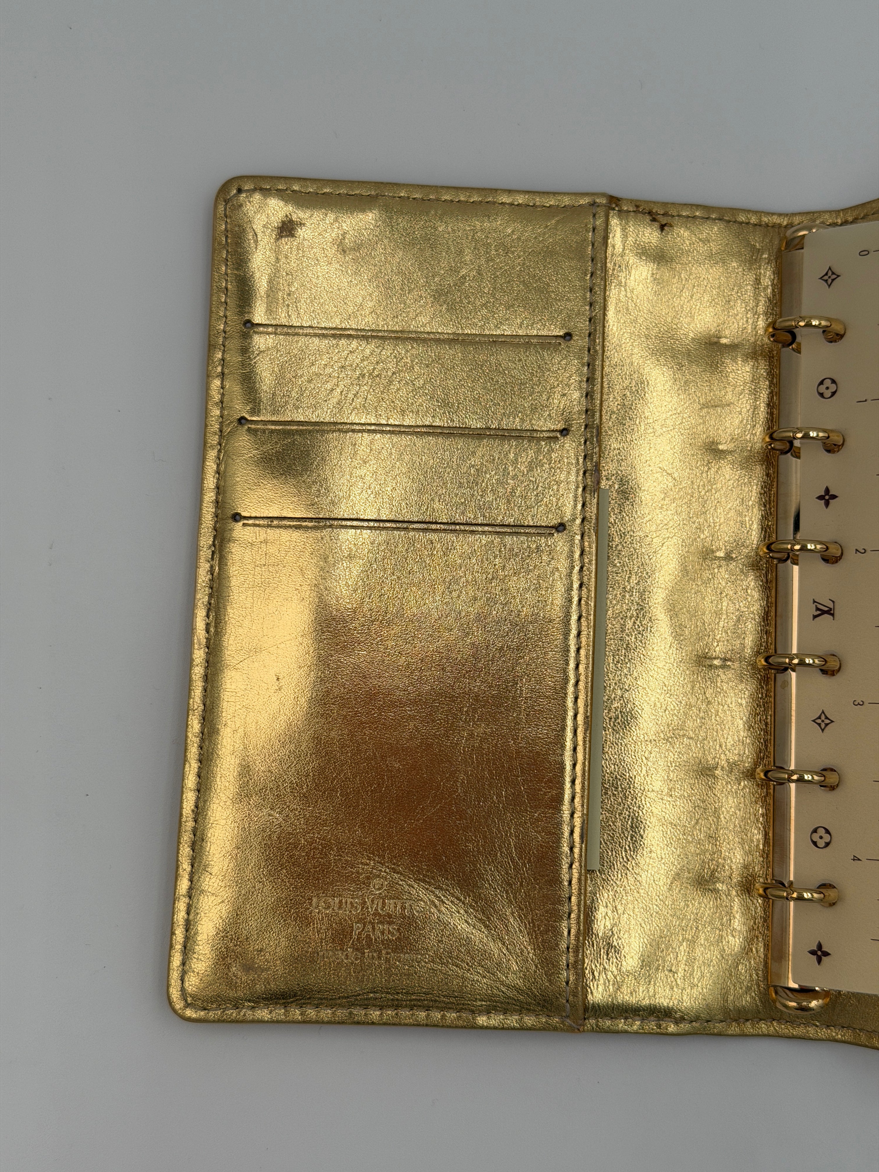 Louis Vuitton Monogram Miroir Case