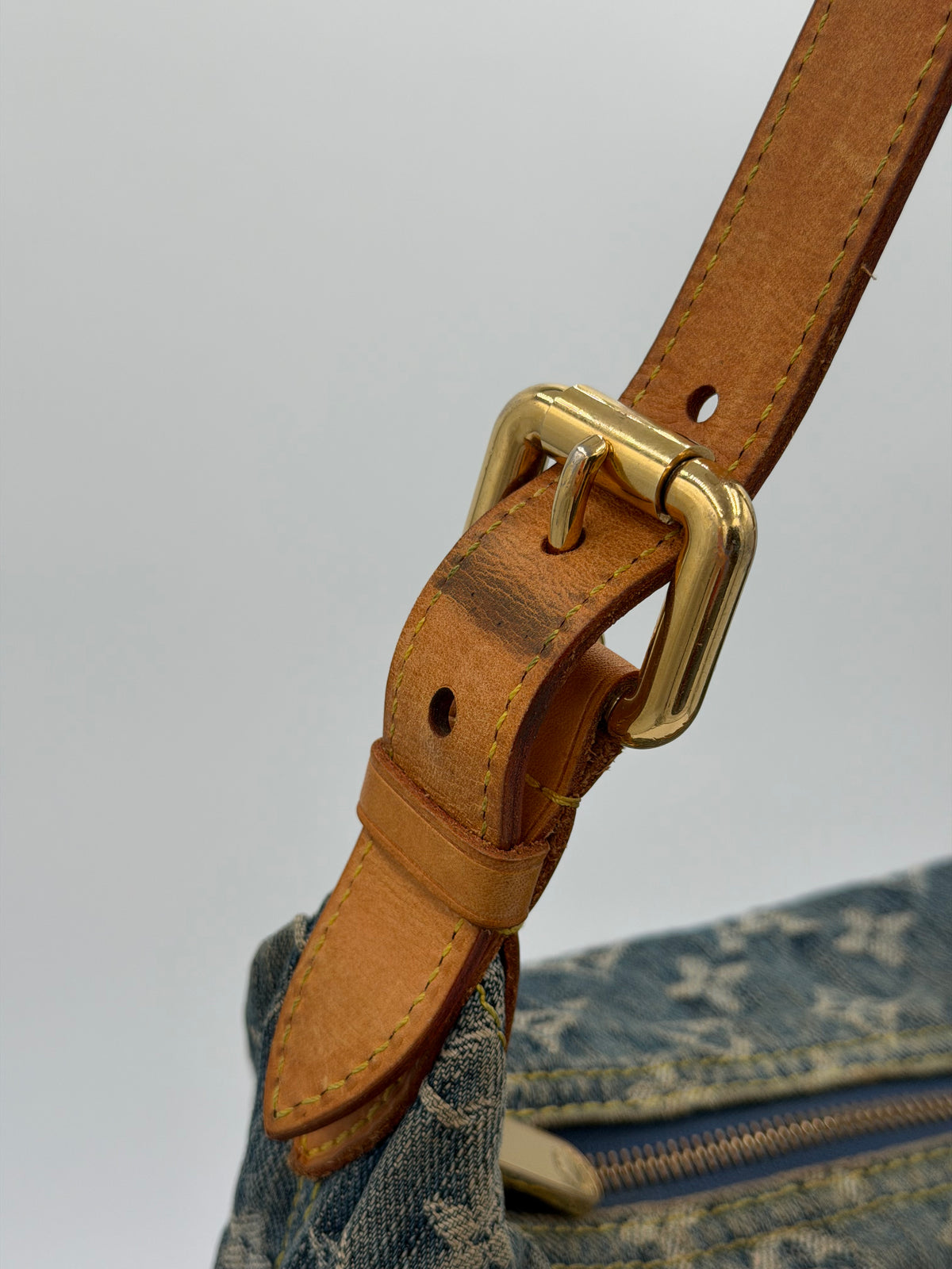 Louis Vuitton Monogram Denim Baggy PM