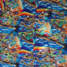Load image into Gallery viewer, Nicole Miller California Roadtrip Silk Shirt
