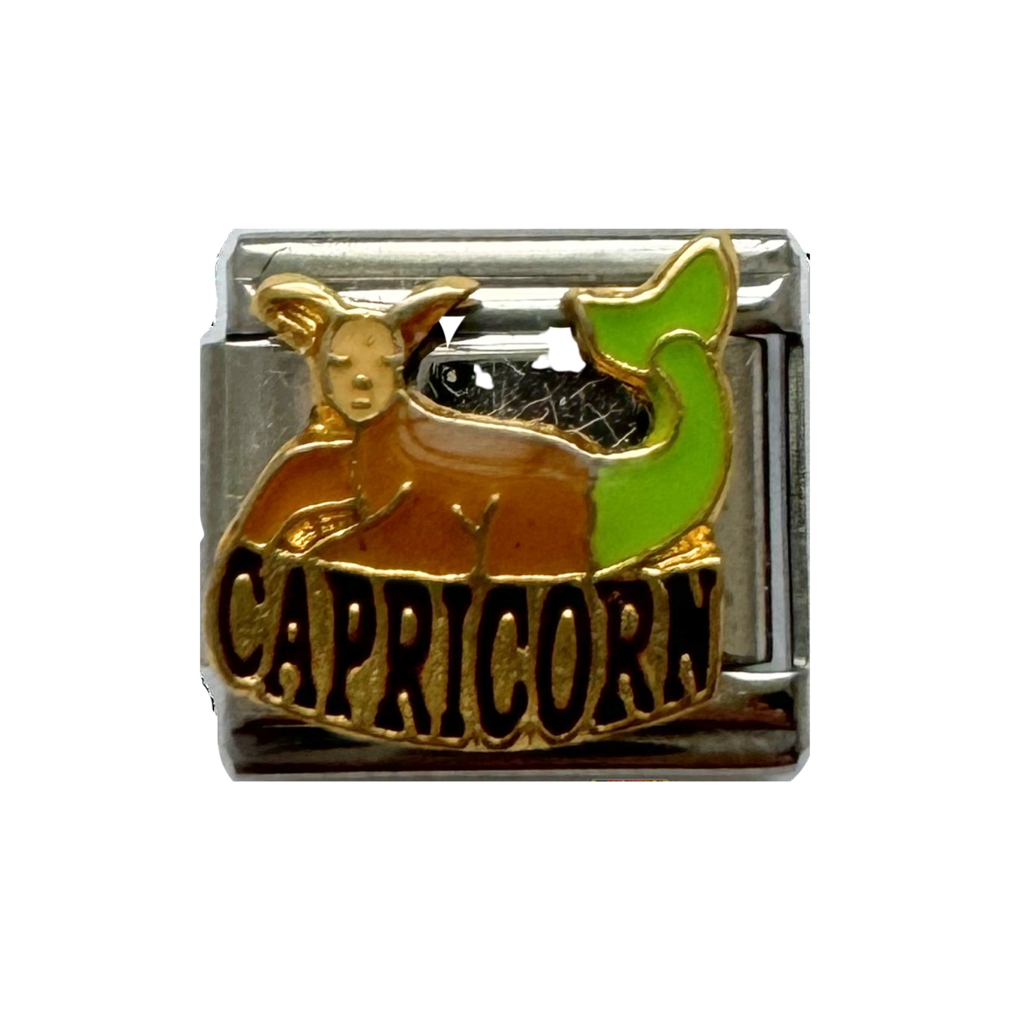 Capricorn Italian Charm