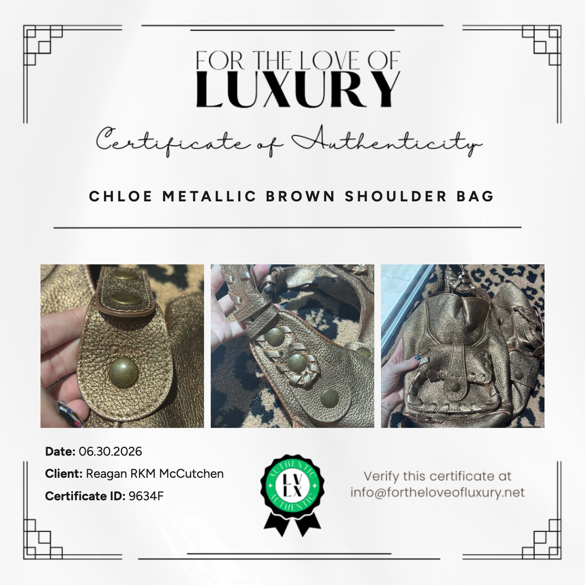 Chloé Metallic Bronze Leather Silverado Bag
