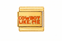 Cowboy Like Me