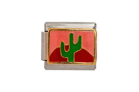 Pink Cactus