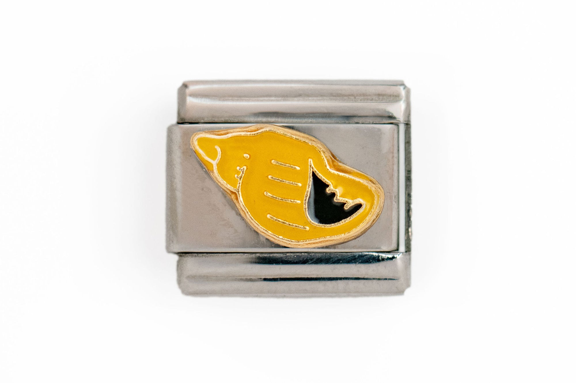 Yellow Sea Shell