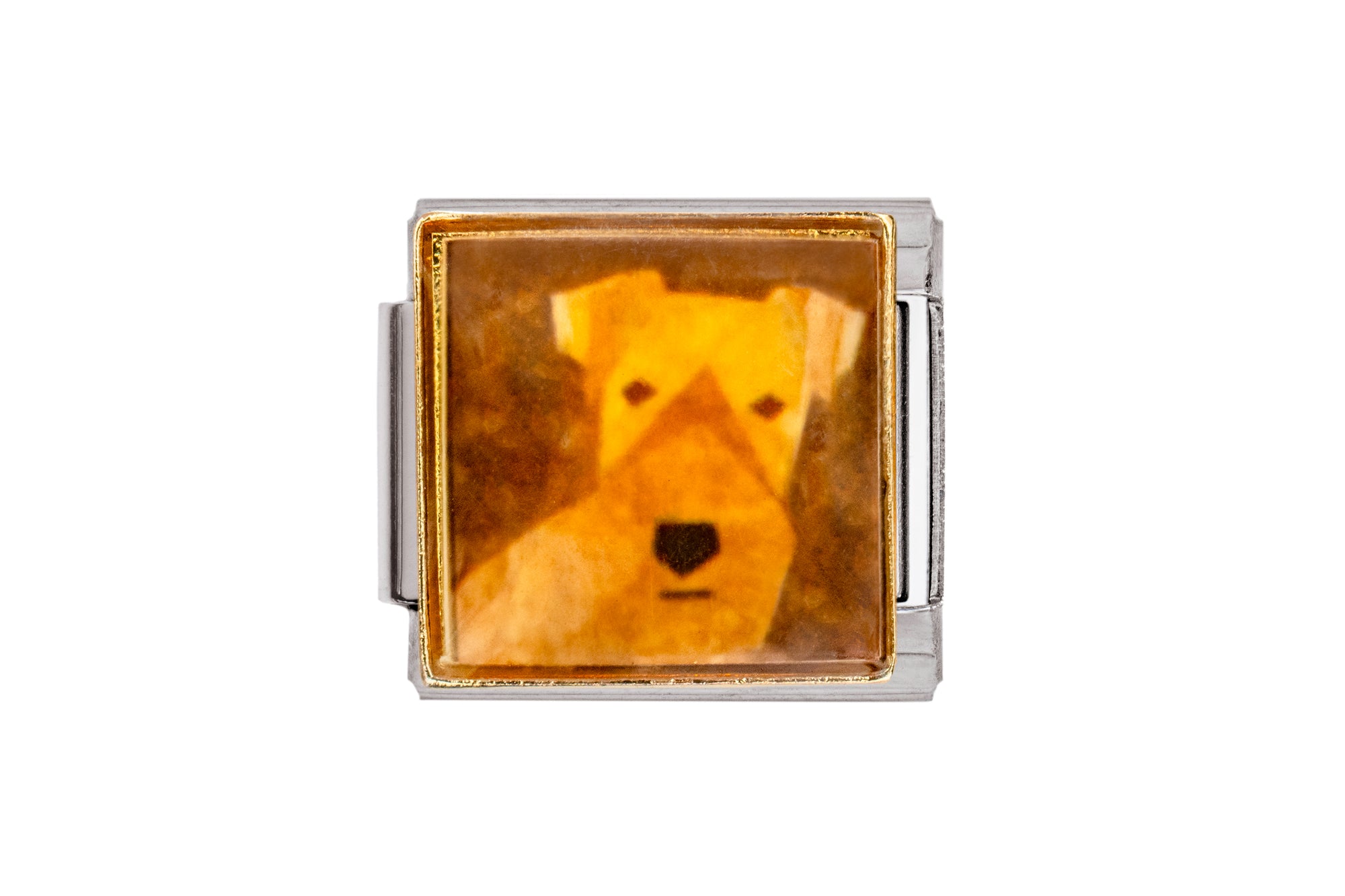 Irish Terrior Dog