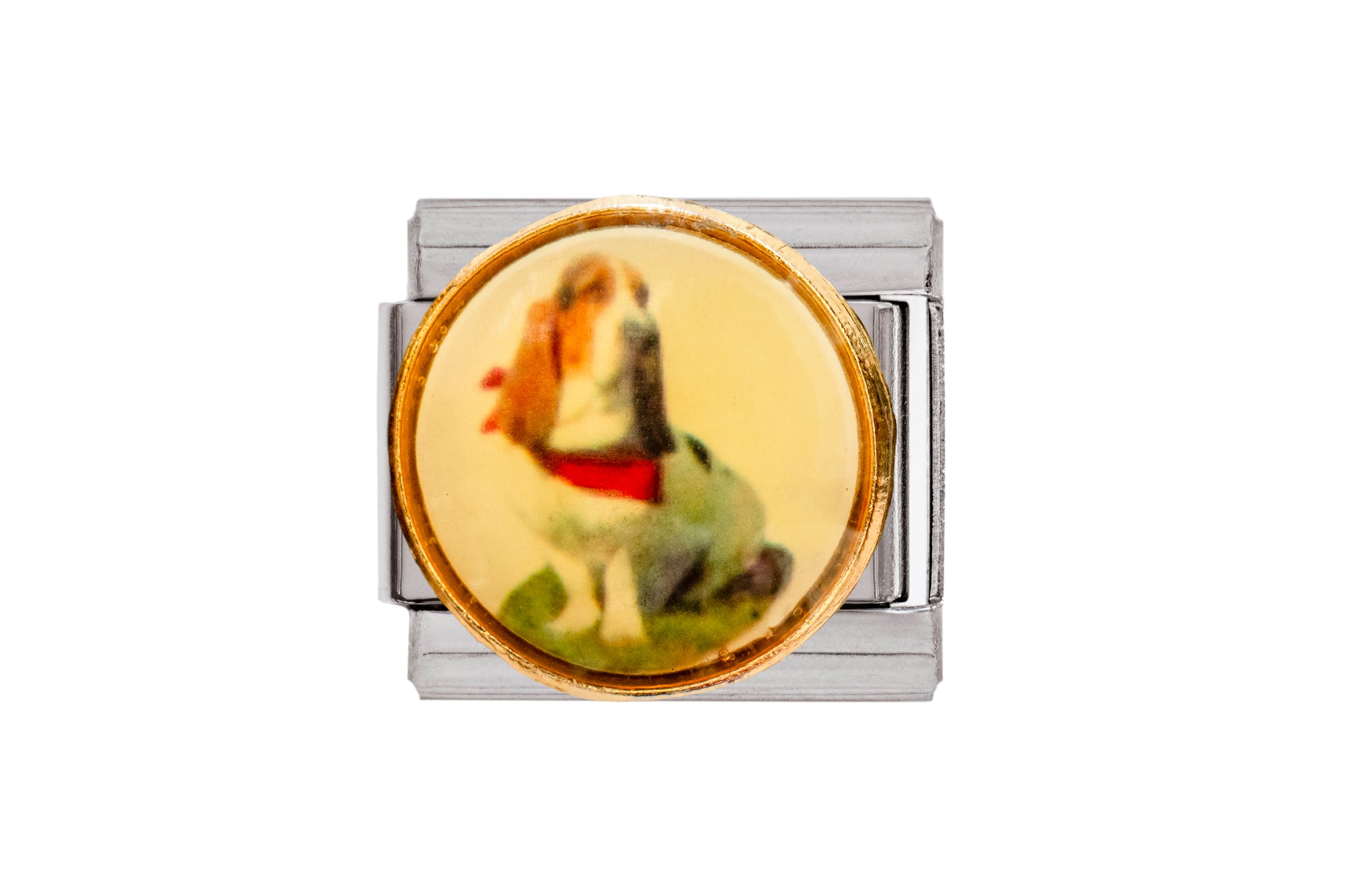 Beagle Dog