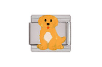 Doodle Dog