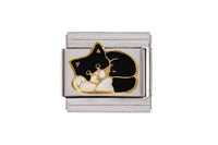 Black White Cat