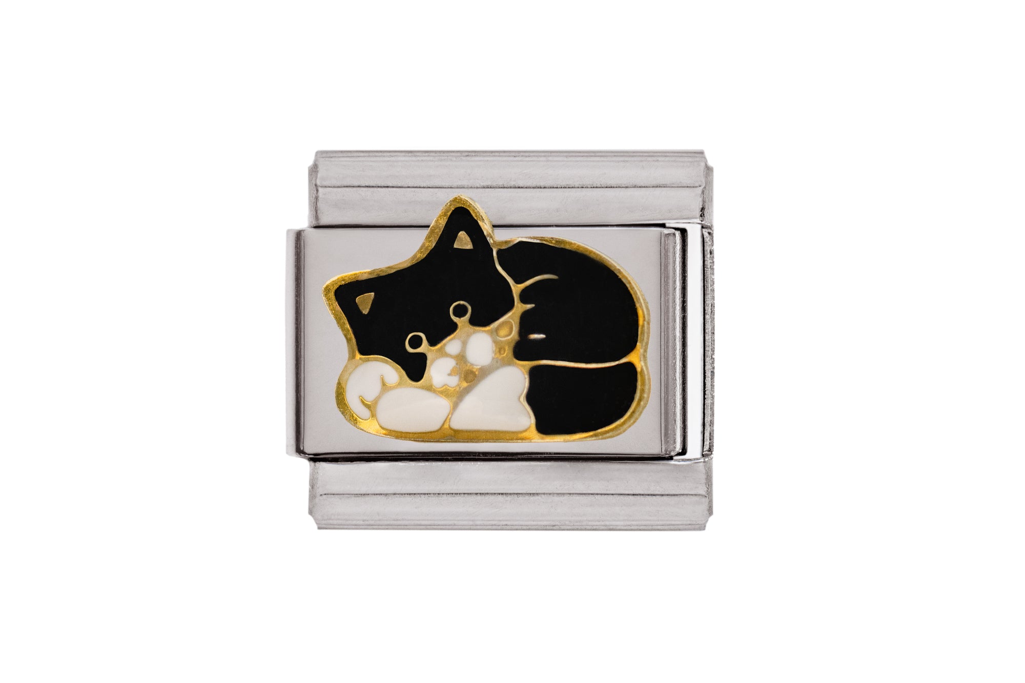 Black White Cat