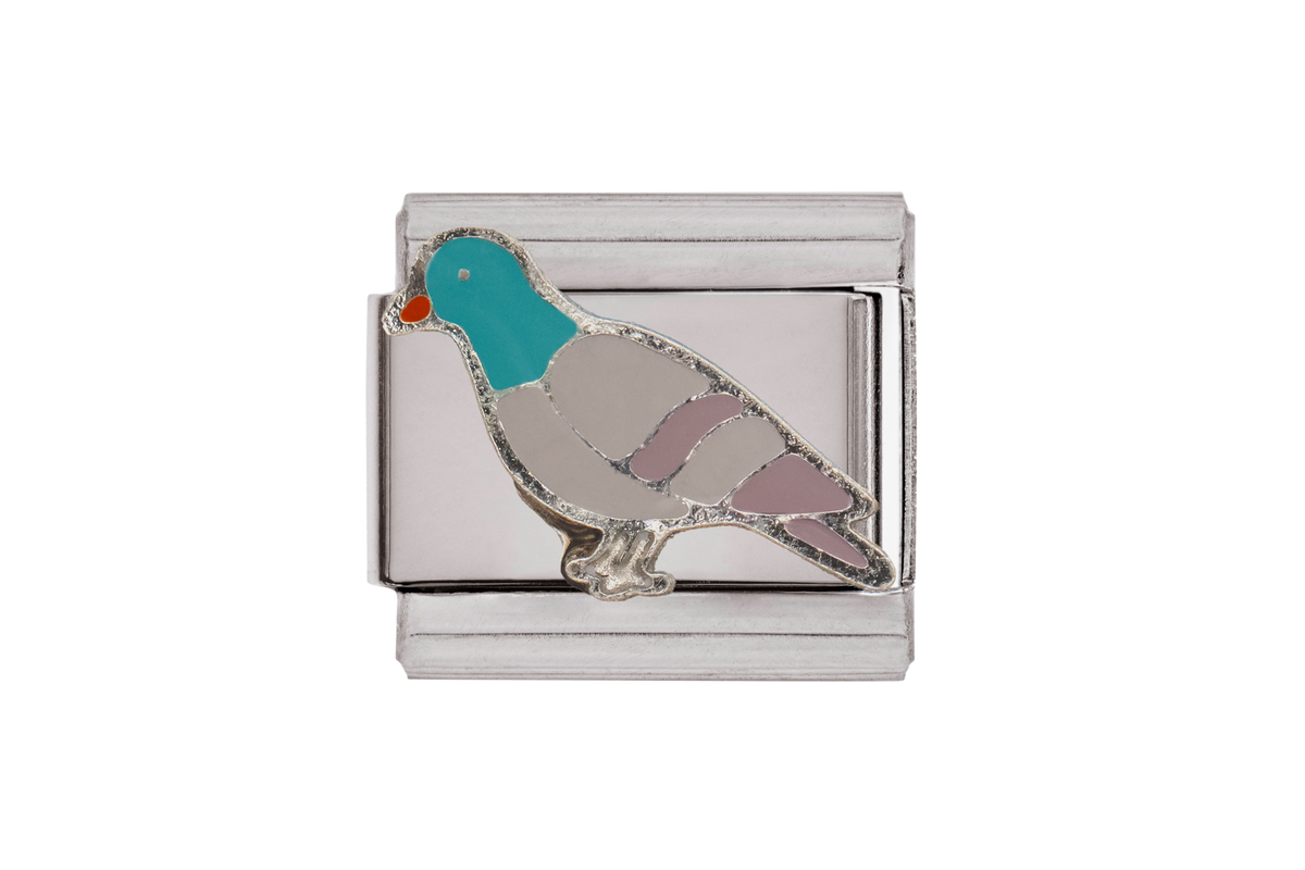 Pigeon
