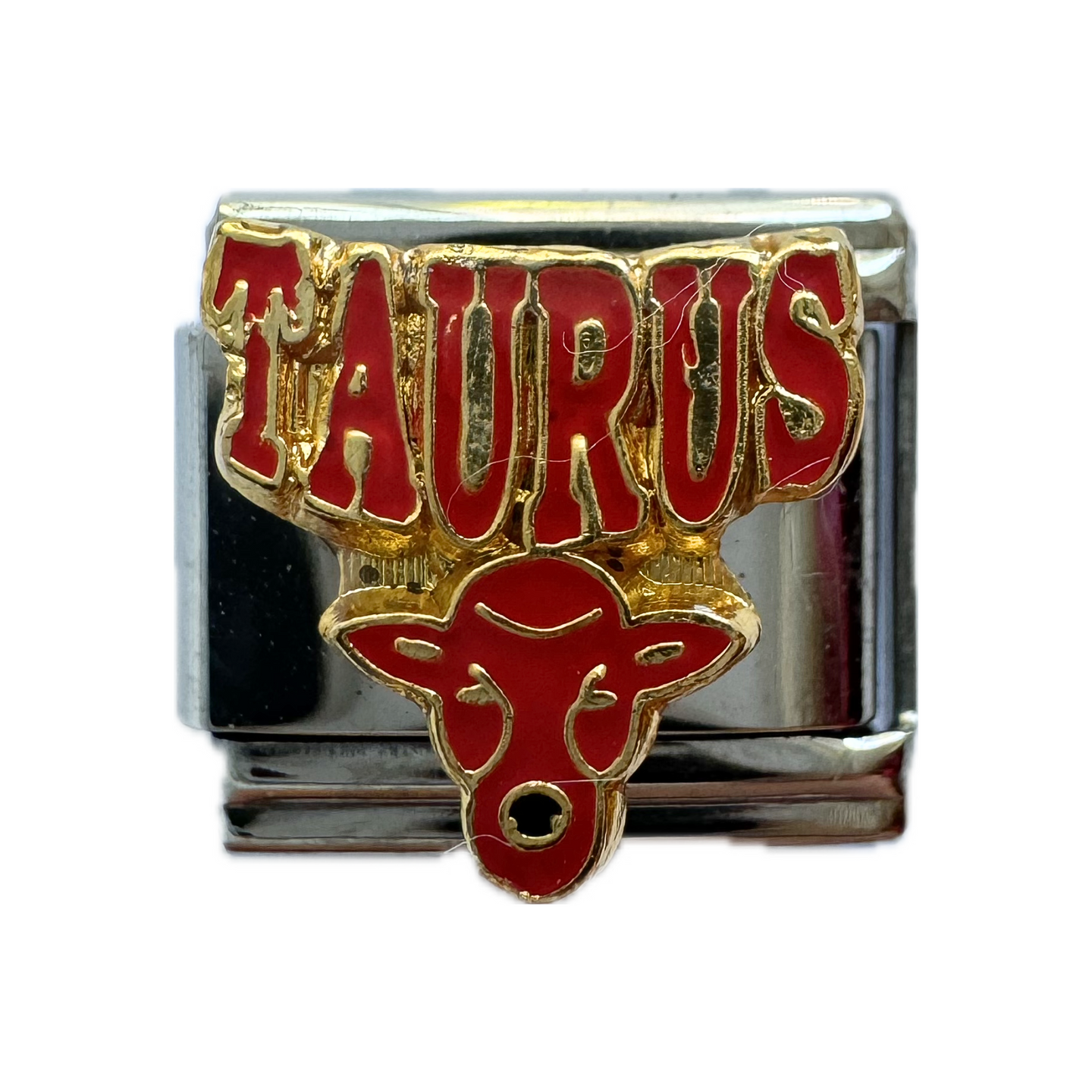 Taurus Italian Charm