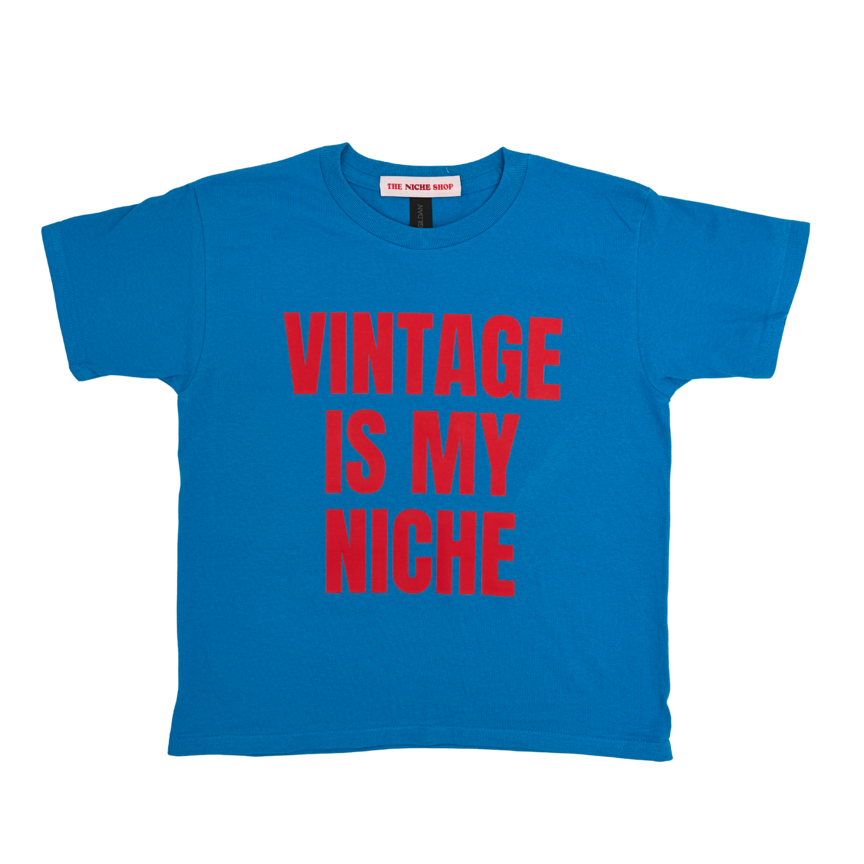 NEW Vintage Is My Niche Baby Tee